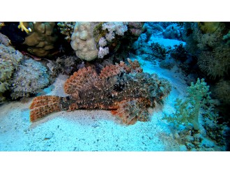 Photo by Simon Šipek