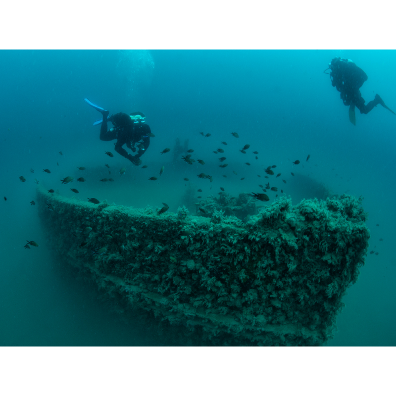 Wreck Explorer - 5 dives